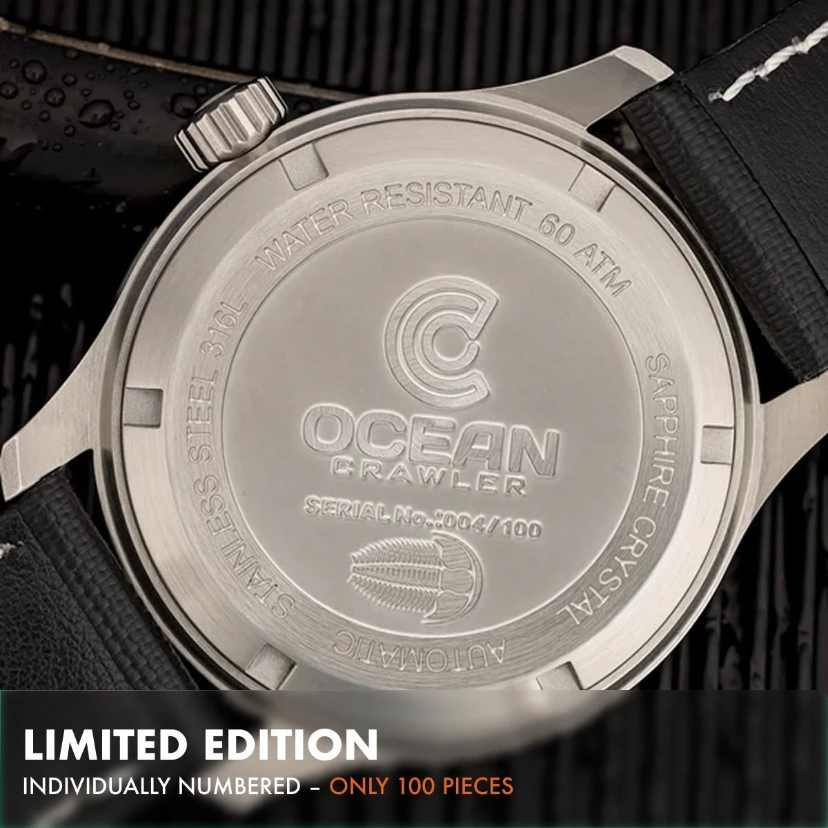 Dream Diver - Polar Ice Meteorite - Ocean Crawler Watch Co.