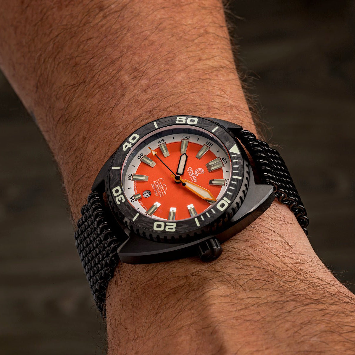 Core Diver - Garibaldi LE