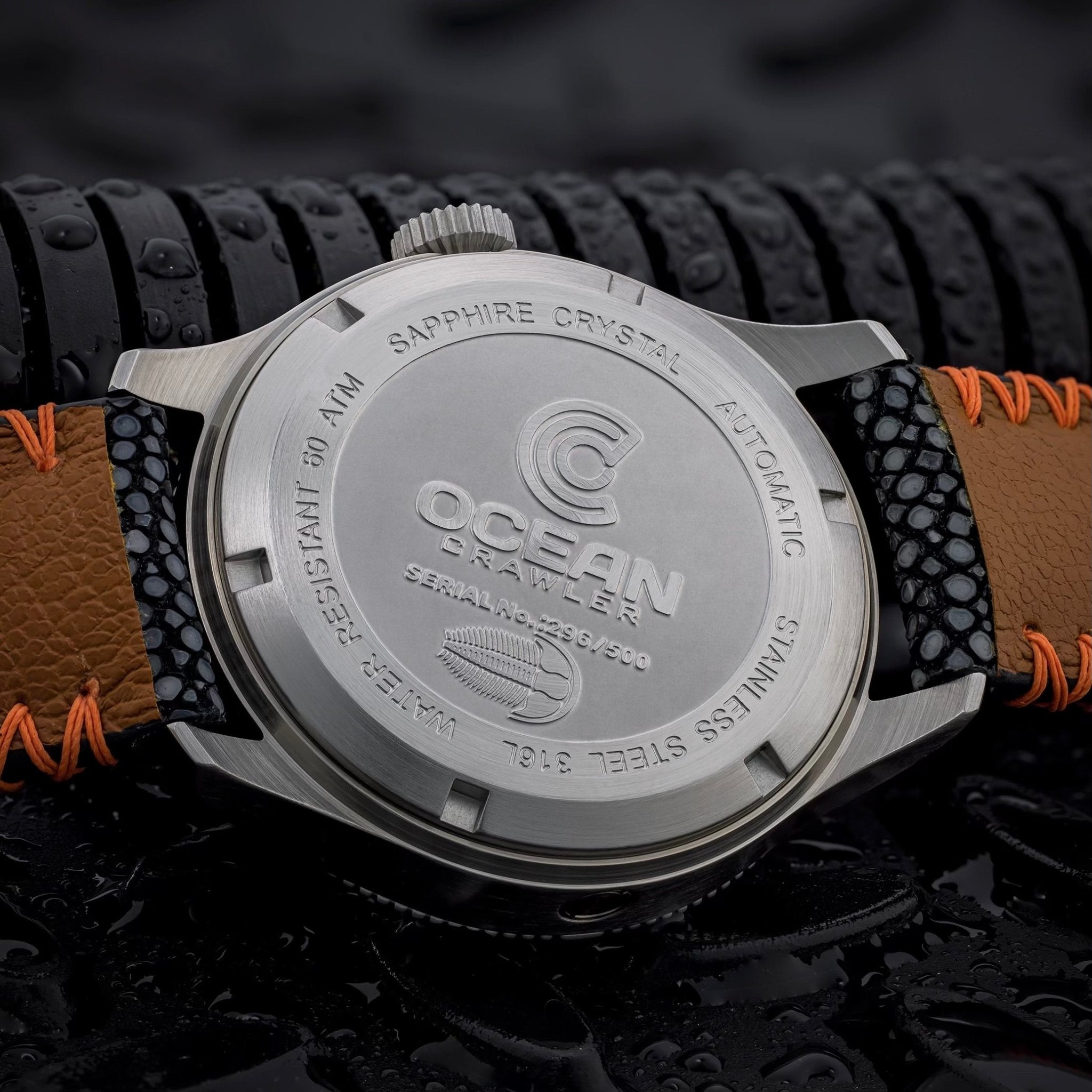 Champion sapphire watch hotsell